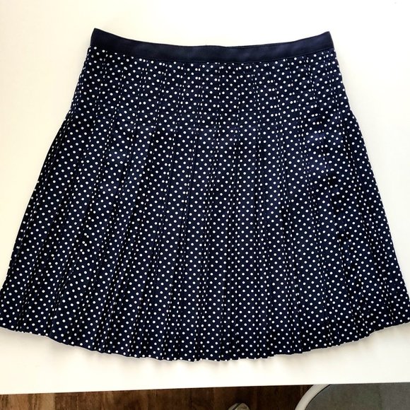 J Crew Navy Pleated Polka Dot Skirt Size 2 - Picture 5 of 11